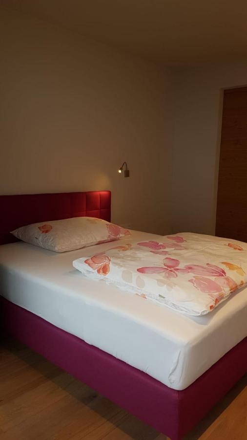 Appartement Mountainview سالباخ هينترغليم المظهر الخارجي الصورة
